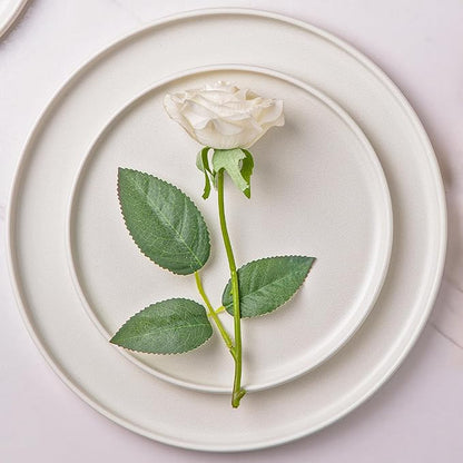 AmorArc Stoneware Dinner Plates Set of 4, 10.5 Inch Reactive Matte Glaze Ceramic Plates Set, Modern Dinnerware Dish set for Kitchen, Microwave, Dishwasher Safe, Scratch Resistant - Matte White