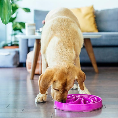 Outward Hound Fun Feeder Slo Bowl – Large 4‑Cup Capacity, Slow Feeding - Image 6