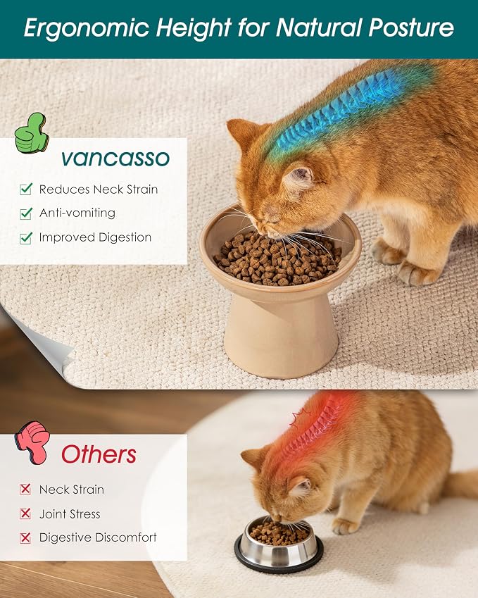 vancasso Elevated Cat Food Bowls 2-Pack, 6.2" Wide Shallow Cat Feeding Bowl - Image 5