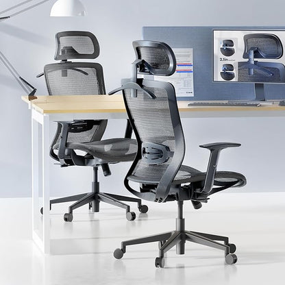 FLEXISPOT Ergonomic Office Chair, High Back Mesh Swivel Computer Chair, Executive Office Desk Chairs, with Adjustable Lumbar Support/2D Headrest/Lockable Backrest, OC3 Mesh Seat, Gray
