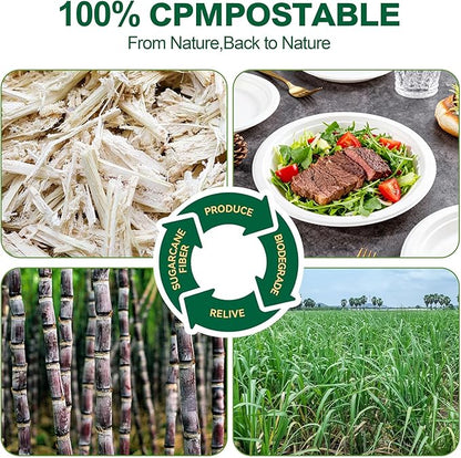 DaYammi 100% Compostable Paper Plates 7 Inch, 60-Pack Heavy Duty Paper Plates Bulk,Biodegradable Bagasse,Eco-Friendly Disposable Dessert Plate for BBQ,Picnic,Party (BPI Certified,Microwaveable)