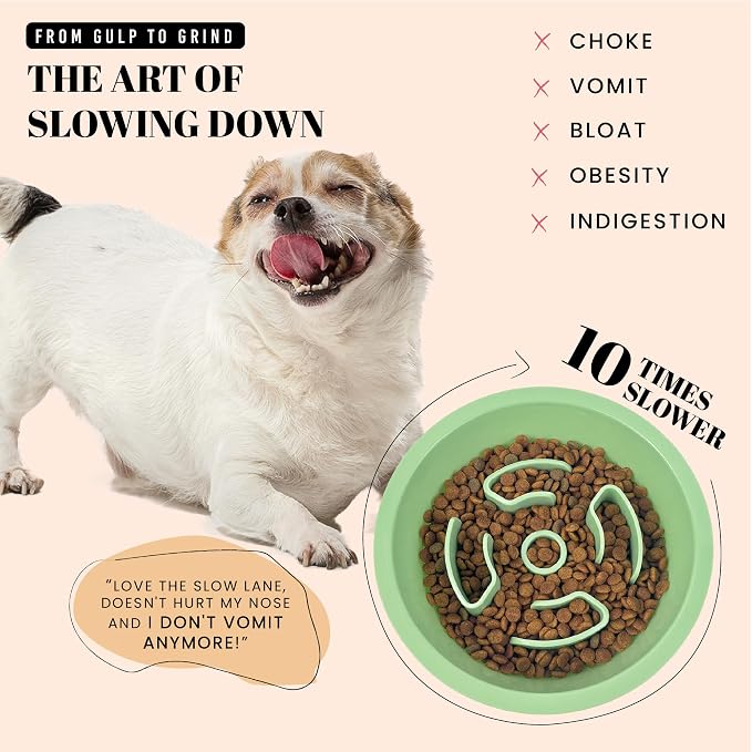 AVERYDAY Slow Feeder Dog Bowls for Medium Breeds Fits Raised Feeding Station - Image 2