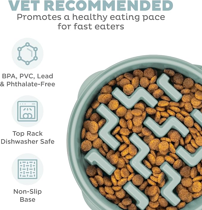 Outward Hound Medium Slow Feeder Bowl, Puzzle Maze - Image 3