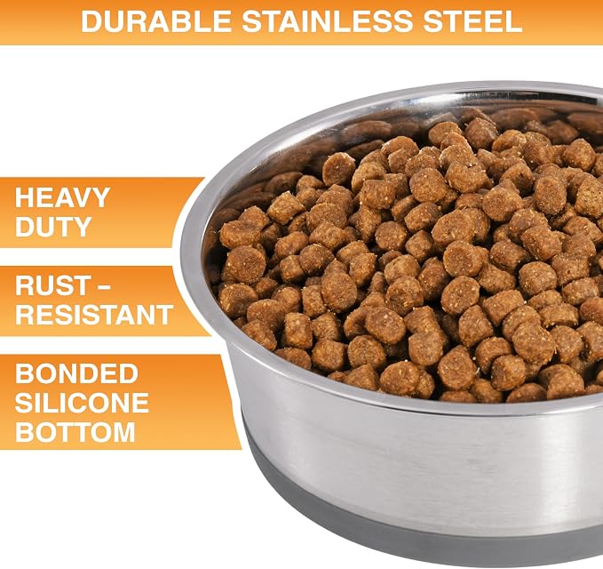 Neater Pet Brands Stainless Steel Dog Bowls - Image 2