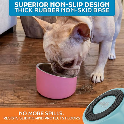 Master Pet Supply Stainless Steel Slanted Dog Cat Food Bowl - 8 oz Heavy Duty - Aqua Sky, Double Wall Insulated, Non-Slip Elevated Bowl for French Bulldogs Pugs Cats, Anti Rust Dishwasher Safe