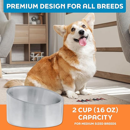 Master Pet Supply Stainless Steel Slanted Dog Cat Food Bowl - 16 oz Heavy Duty - Stainless Steel, Double Wall Insulated, Non-Slip Elevated Bowl for French Bulldogs Pugs Cats, Anti Rust Dishwasher Safe