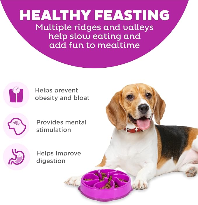 Outward Hound Fun Feeder Slo Bowl – Medium 2‑Cup Capacity, Slow Feeding - Image 2