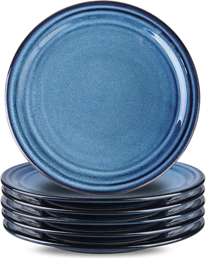 HASENSE 10 Inch Dinner Plates Set of 6, Ceramic Large Porcelain Pasta and Salad by Hasense