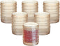 XKXKKE Amber Hobnail Beaded Drinking Glasses Set of 6, 12 oz Vintage Glassware by XKXKKE