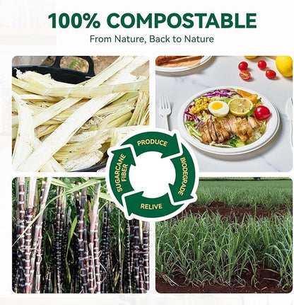 JOLLY CHEF 100% Compostable Paper Plates, 150 Pack 10 Inch Heavy Duty Plates, Disposable Biodegradable Eco-Friendly Sugarcane, Bulk White