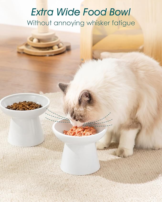 vancasso Elevated Cat Food Bowls 2-Pack, 6.2" Wide Shallow Cat Feeding Bowl - Image 4
