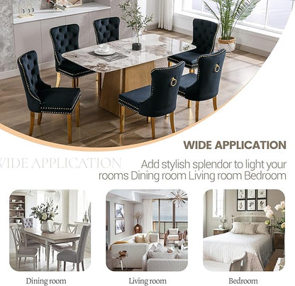 KCC Velvet Dining Chairs Set of 6, Upholstered High-end Tufted Dining Chair with Nailhead Back Ring Pull Trim Stainless Steel Legs, Contemporary Nikki Collection Modern Style for Kitchen, Black