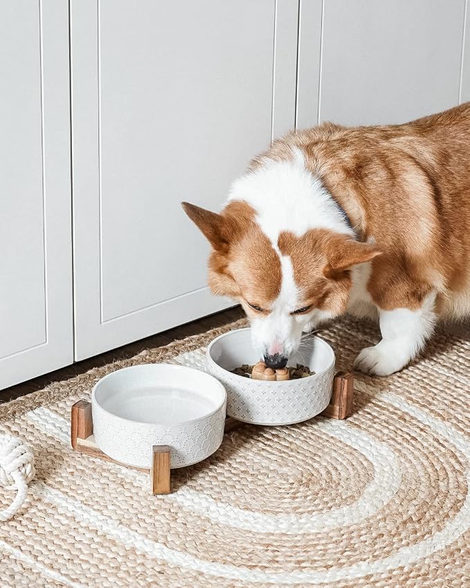 LE TAUCI Dog Bowl Set with Acacia Wood Stand - Image 3