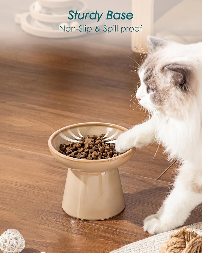 vancasso Elevated Cat Food Bowls 2-Pack, 6.2" Wide Shallow Cat Feeding Bowl - Image 7