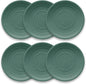 Matte Artisan 10.5'' Durable Planta Dinner Plates, Shatter-Resistant and by Unknown