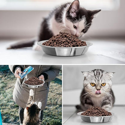 HUOIQUE 10 Pcs 6.2 Inches Stainless Steel Cat Bowls, Whisker Friendly Metal Shallow Cat Dishes for Food and Water
