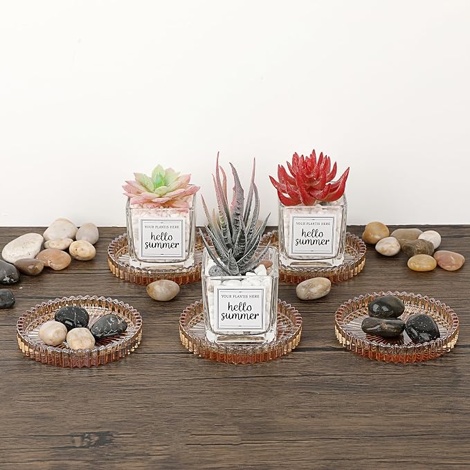 JUXYES Set of 8 Heat-Resistant Clear Glass Coaster - Image 9
