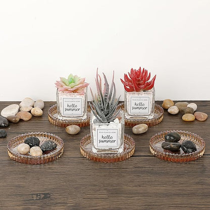 JUXYES Set of 8 Heat-Resistant Clear Glass Coaster - Image 9