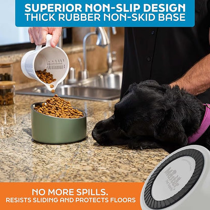 Master Pet Supply Stainless Steel Slanted Dog Cat Food Bowl - 24 oz Heavy Duty - Bone White, Double Wall Insulated, Non-Slip Elevated Bowl for French Bulldogs Pugs Cats, Anti Rust Dishwasher Safe