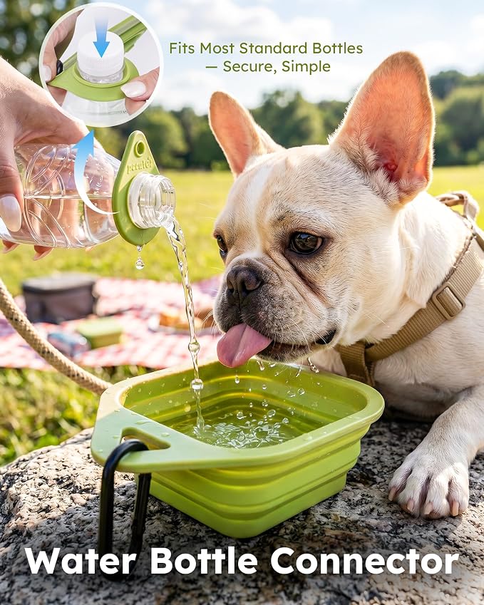 Pecute 2 Pack Foldable Dog Bowls - Image 4