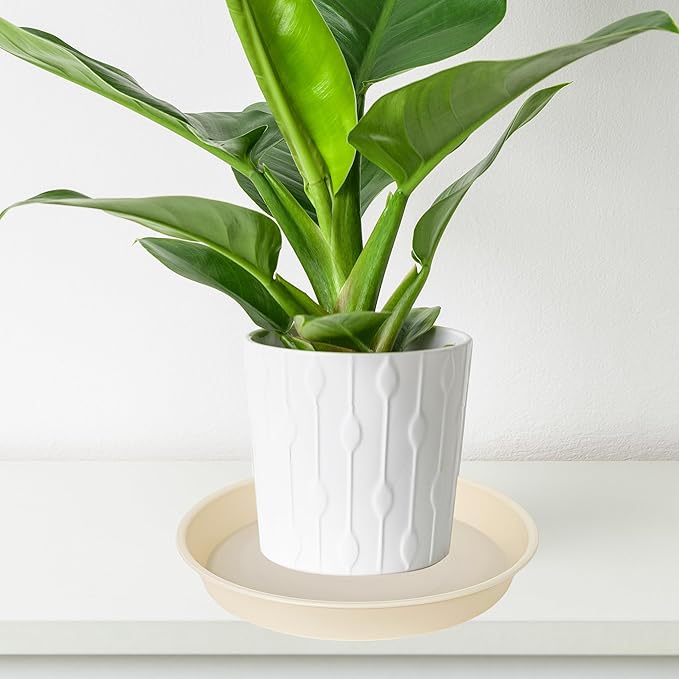 2 Pack of 10 inch Plant Saucer Gray, Heavy Duty Plastic Plant Saucer 10 inch - Image 5