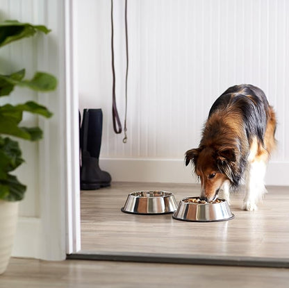 Amazon Basics Stainless Steel Non-Skid Dog Water And Food Bowls, Dishwasher Safe - Image 5