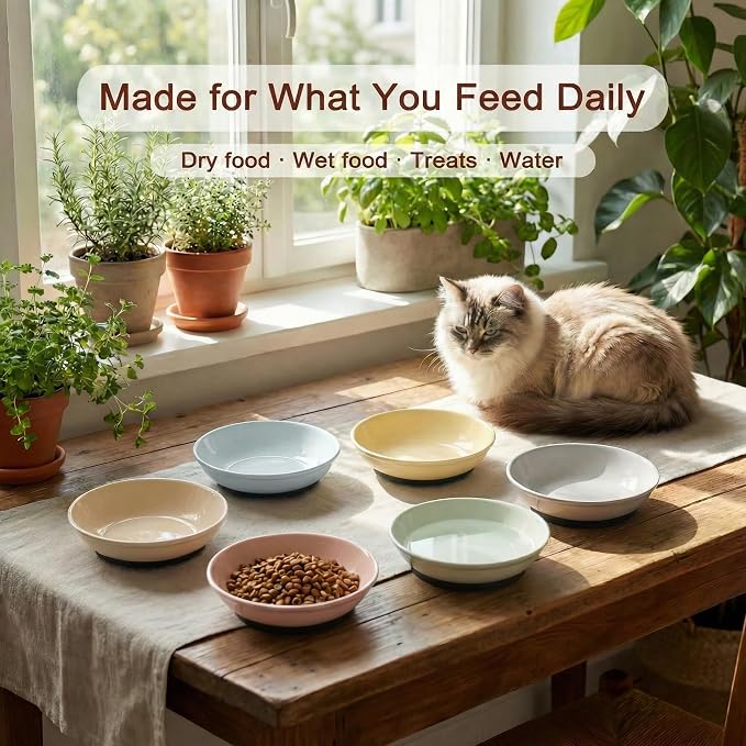 Ceramic Cat Food Bowls 6 Pack – Shallow Cat Bowl - Image 4