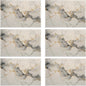 Placemats Set of 6 Abstract White Marble Texture Place Mats Washable Kitchen Dining Linen Table Mats Stain Heat, for Home Party Indoor 12x18 in