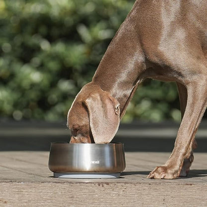 Pawaii Dog Bowl, 34 oz Stainless Steel Food and Water Bowl, ID Tag, 1 Pack | - Image 9