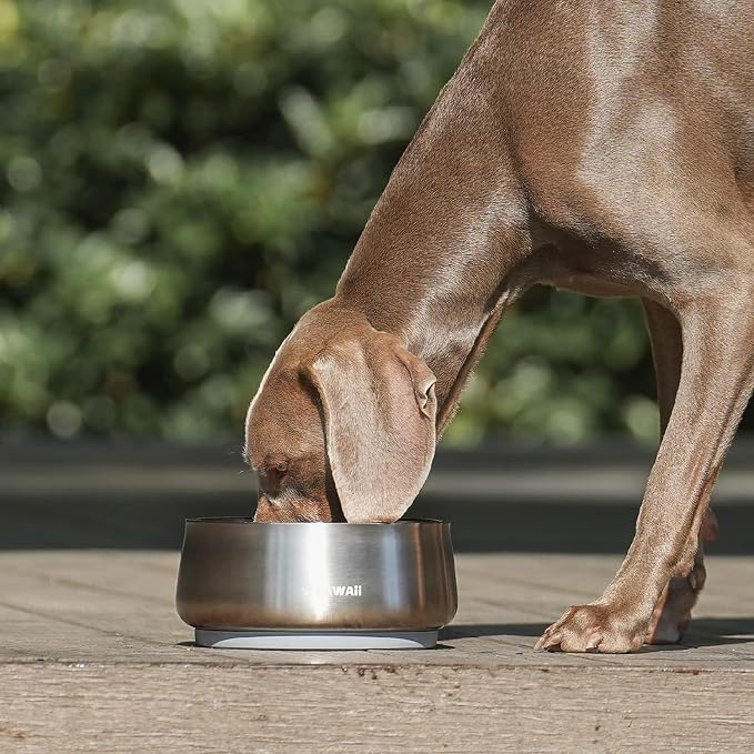 Pawaii Dog Bowl, 68 oz Stainless Steel Food and Water Bowl, ID Tag, 1 Pack | - Image 9