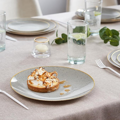 PLASTICPRO 30 Pack Disposable Plastic Plates Heavyweight Granite Look Elegant 10 inch Dinner Plates Grey with Gold Rim
