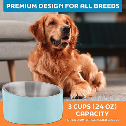 Master Pet Supply Stainless Steel Slanted Dog Cat Food Bowl - 24 oz Heavy Duty - Aqua Sky, Double Wall Insulated, Non-Slip Elevated Bowl for French Bulldogs Pugs Cats, Anti Rust Dishwasher Safe