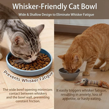 Silicone Cat Bowl Set of 2 Shallow Cat Dishes Small Non-Slip Pet Dog Bowls for Dry & Wet Food, Whisker Fatigue (Round Blue)