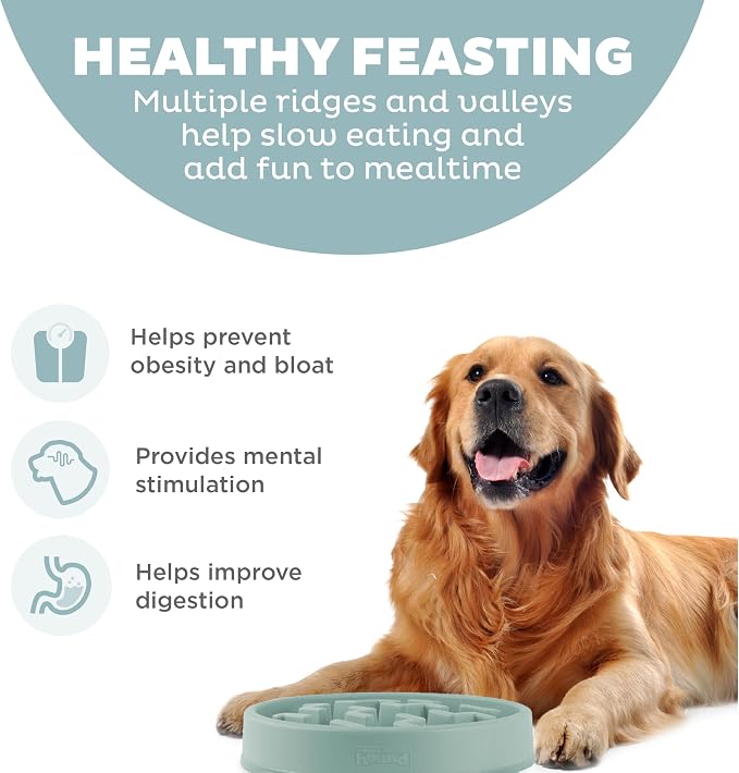 Outward Hound Fun Feeder Slo Bowl – Large 4‑Cup Capacity, Slow Feeding - Image 2