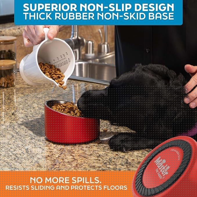 Master Pet Supply Stainless Steel Slanted Dog Cat Food Bowl - 16 oz Heavy Duty - Crimson Flame, Double Wall Insulated, Non-Slip Elevated Bowl for French Bulldogs Pugs Cats, Anti Rust Dishwasher Safe