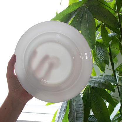Ceramic Pasta Bowls Set of 4, 13.5oz/22oz Wide Rim Porcelain Soup Bowls - Oven & Dishwasher Safe, Lead-Free Dinnerware for Italian Pasta, Salad, Family Dining (White)