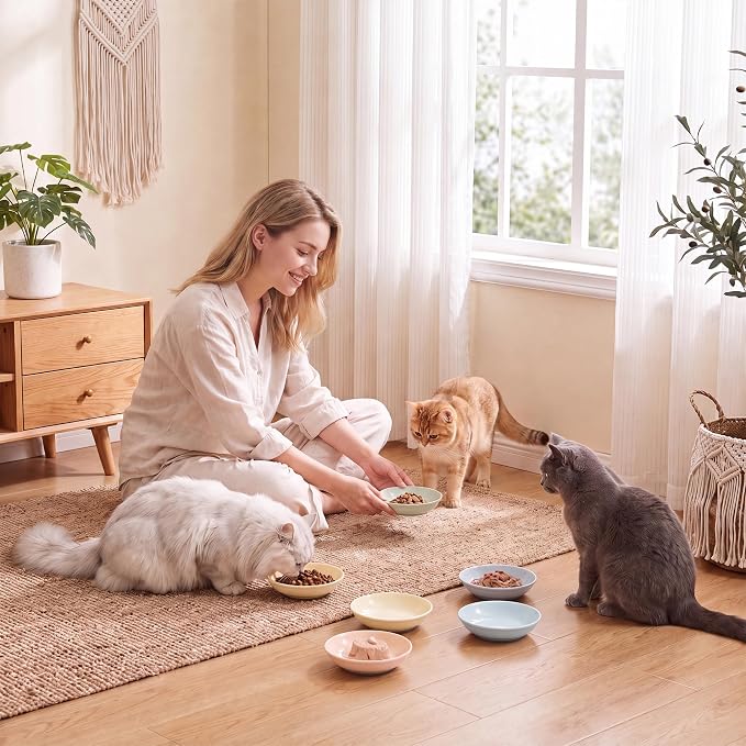 Ceramic Cat Food Bowl Set - Image 6
