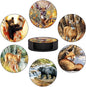 Coasters Set of 6 by Unknown