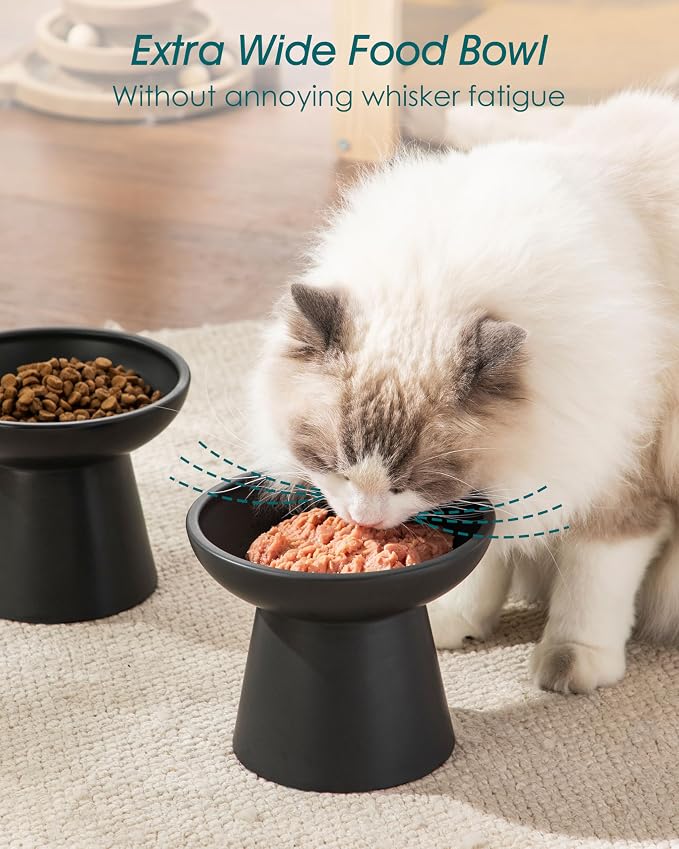 vancasso Elevated Cat Food Bowls 2-Pack, 6.2" Wide Shallow Cat Feeding Bowl - Image 4