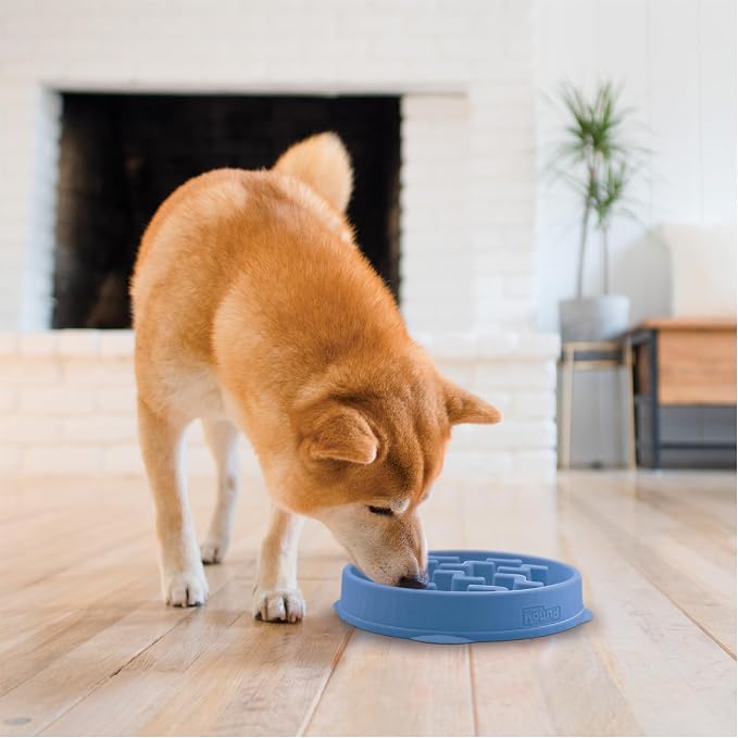 Outward Hound Fun Feeder Slo Bowl – Medium 2‑Cup Capacity, Slow Feeding - Image 6