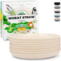 Grow Forward Premium Wheat Straw Plates by GrowForward