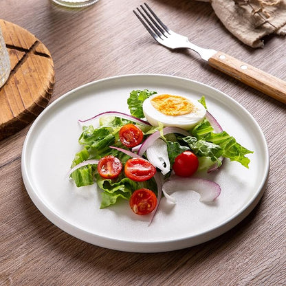 AmorArc Stoneware Dinner Plates Set of 6, 10.5 Inch Reactive Matte Glaze Ceramic Plates Set, Modern Dinnerware Dish set for Kitchen,Microwave, Dishwasher Safe, Scratch Resistant,Matte White