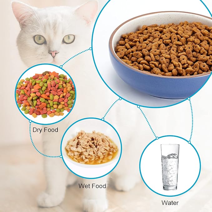 5.19 in Ceramic Cat Dishes, Howise Shallow Cat Food Bowls Small Pet Bowls Cat - Image 2
