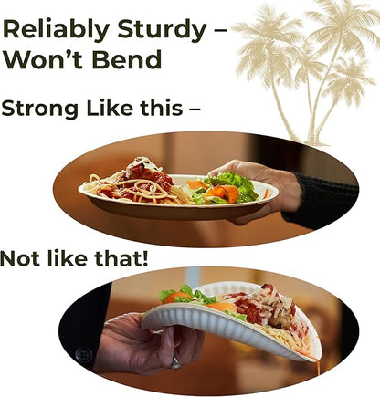 Indie Palm Disposable Palm Leaf Plates – 100 Pack 10 Inch Round – Heavy Duty, 100% Compostable & Biodegradable – Eco-Friendly Alternative to Plastic & Bamboo – Perfect for Parties & Events