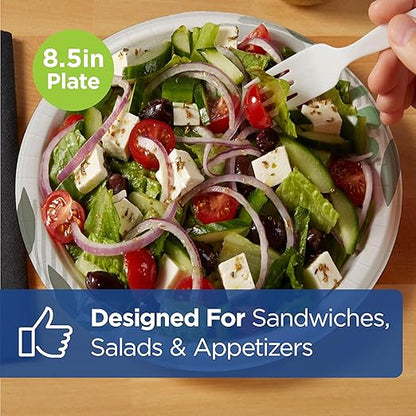 Dixie 8.5 Inch Medium-Weight Paper Plates By GP PRO, Pathways Design, 500 Count (125 Disposable Plates Per Pack, 4 Packs Per Case), UX9WS