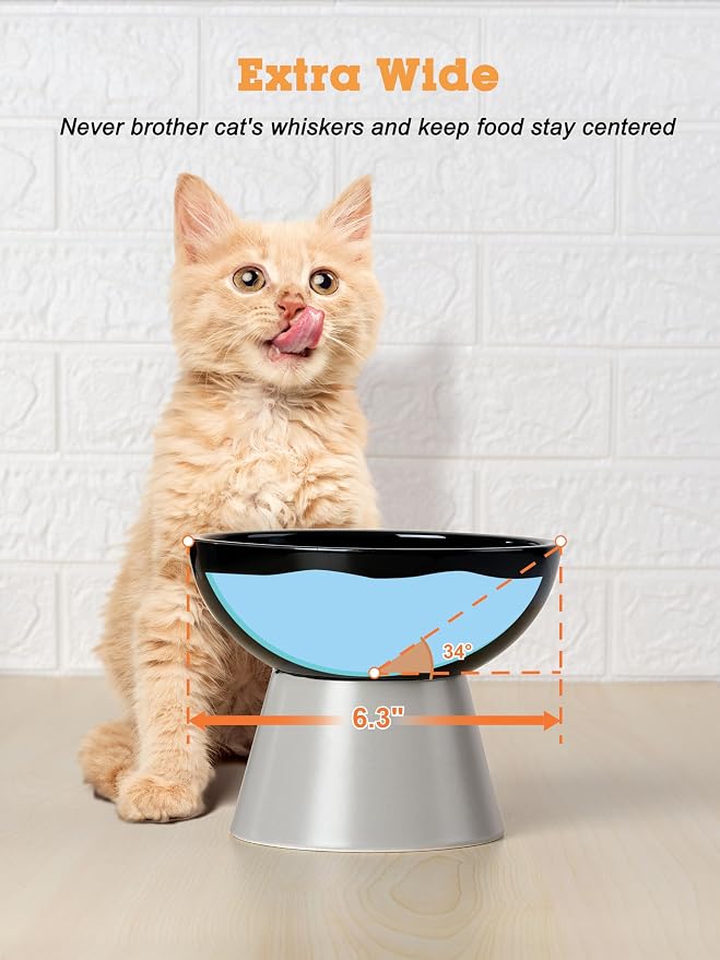 LoeJan Elevated Cat Food and Water Bowls Set, Extra Wide and Raised Ceramic - Image 4