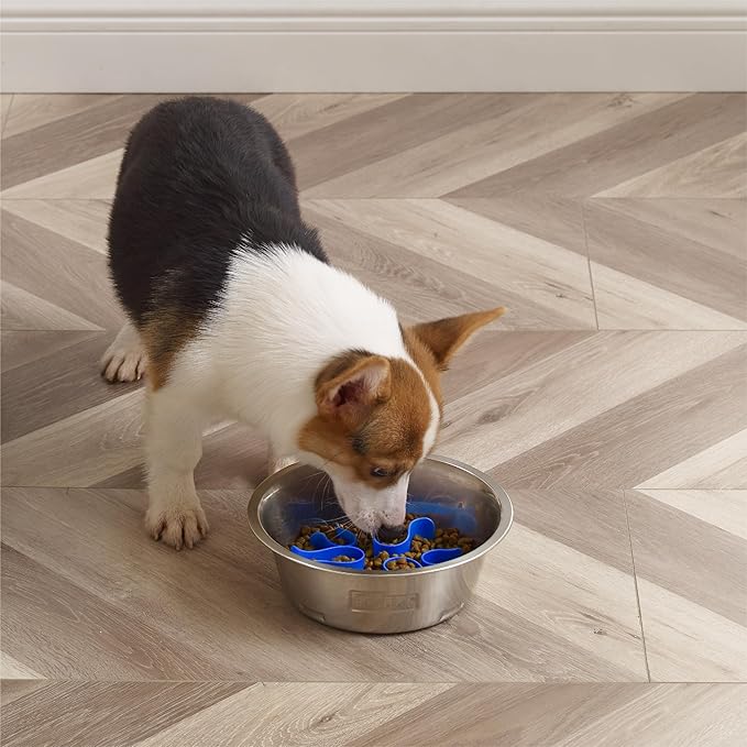Outward Hound Fun Feeder Stainless-Steel Slo Bowl - Image 6