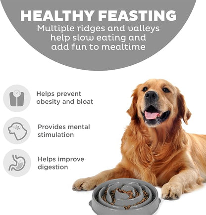 Outward Hound Fun Feeder Slo Bowl – Large 4‑Cup Capacity, Slow Feeding - Image 2