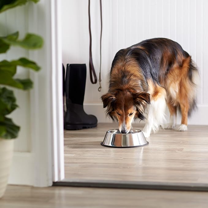 Amazon Basics Stainless Steel Non-Skid Dog Bowl, Dishwasher Safe, Rust Resistant - Image 5