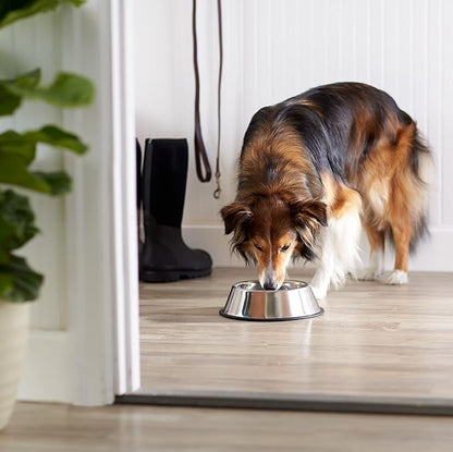 Amazon Basics Stainless Steel Non-Skid Dog Bowl, Dishwasher Safe, Rust Resistant - Image 5